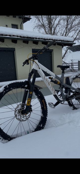 Canyon spectral Fabio wibmer 2023