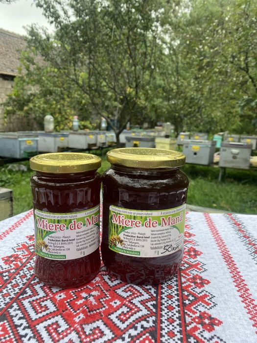 Miere de albine-direct de la producator