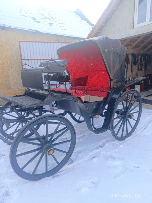 Vând trăsuri pentru ponei și cai mari aduse din germania.