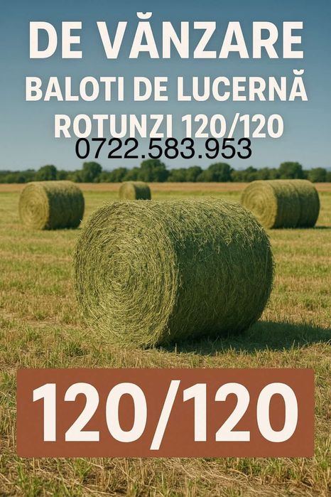 Baloti lucerna 2026