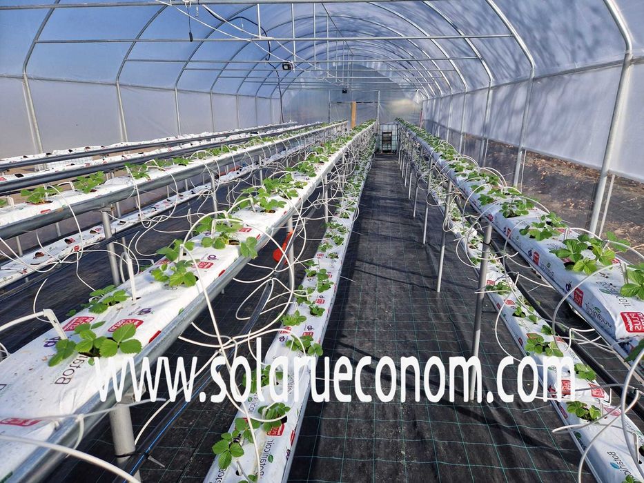 Solar de grădina /sere complete . Arcade solar . Fara sudura. Tip IKEA