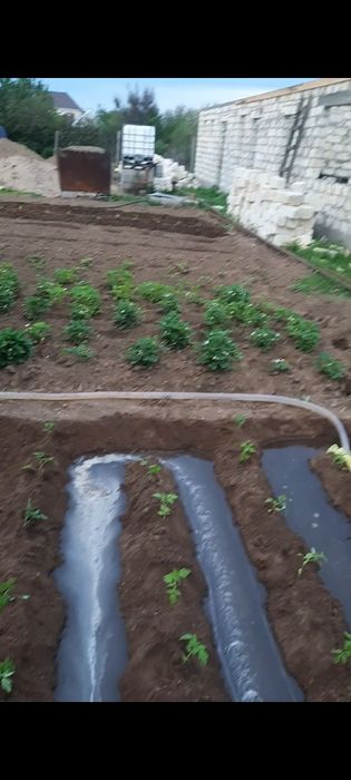 Продам дачу со Агротехснаб