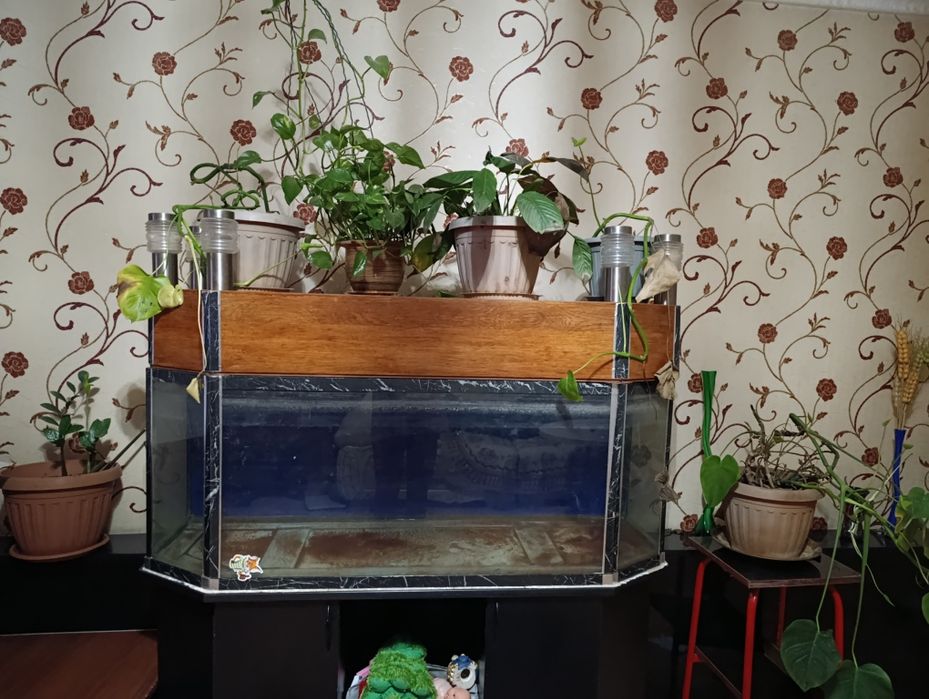 Аквариум отдам бесплатно