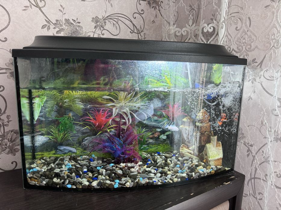 Продам аквариум 60 литров