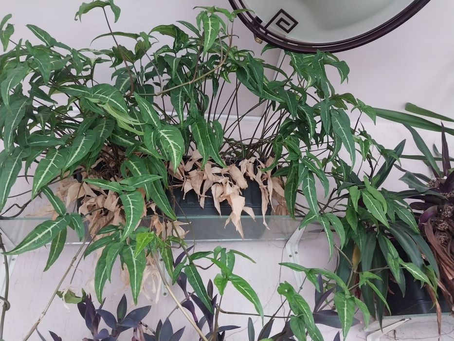 Красивый аксессуар на подоконник,