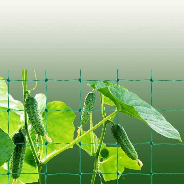 Plasa de Sustinere pentru Plante Cataratoare 2x10 m Castraveti Fasole