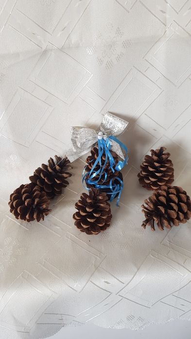 Шишарки за декорация и арт композиции