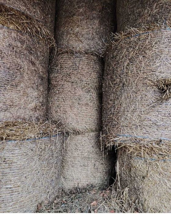 Vând baloti de paie, lucernă și fân neîmbalotat