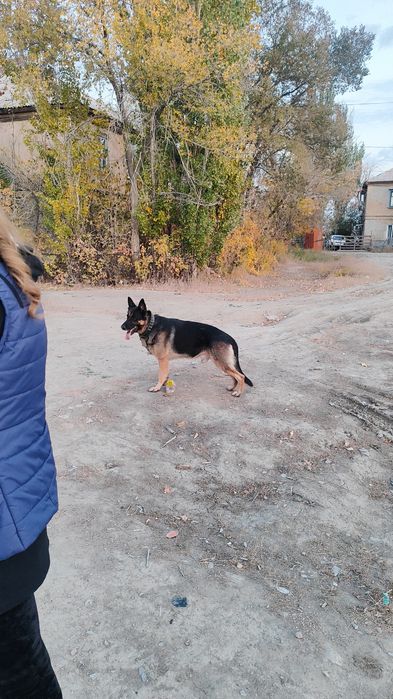 Срочно мальчик ищет девочку