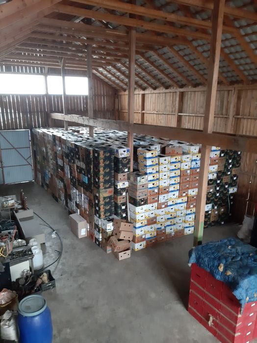 Baxuri banane noi și în stare bună.