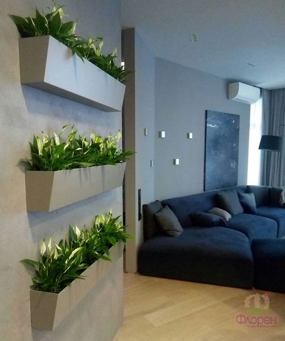 Флорист озеленение офиса, ресторан. Ландшафтный дизайн, садовник,