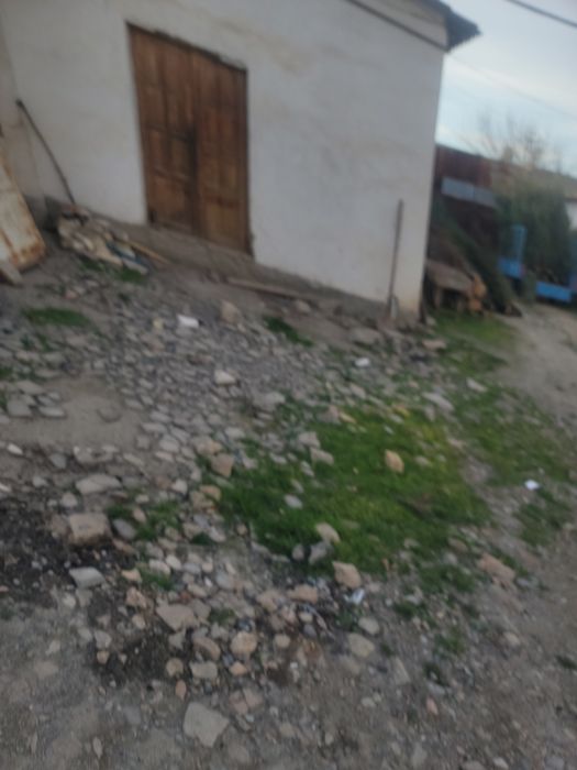Srochni sotiladi kelishilgan narxda Tayyor biznisli joy makaron sex 8