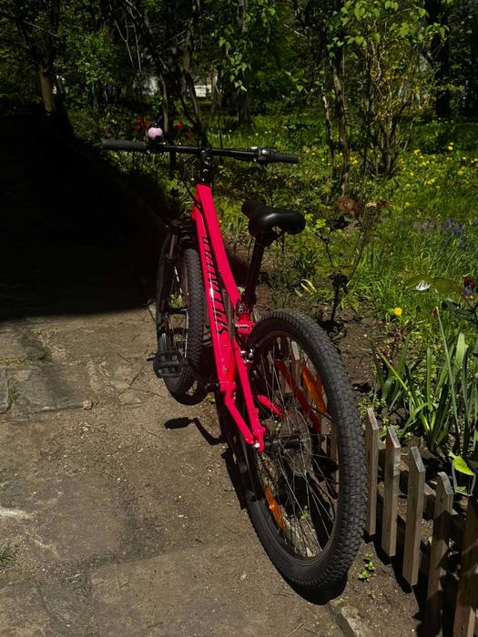 Drag & Specialized