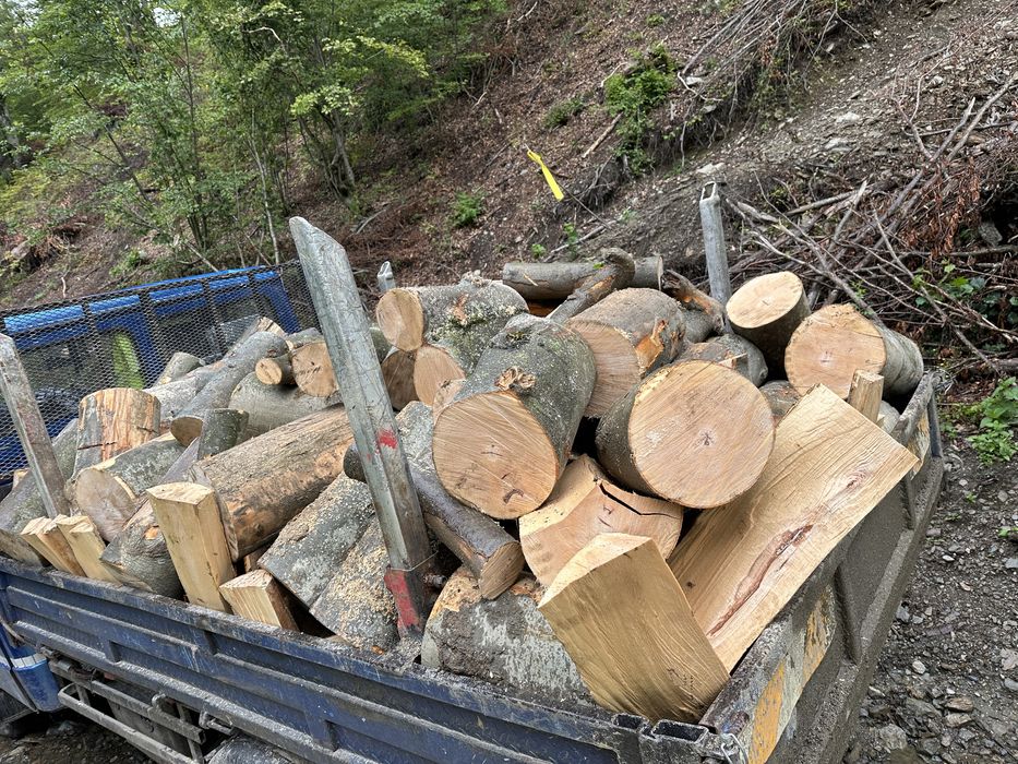 Lemn de foc material lemnos