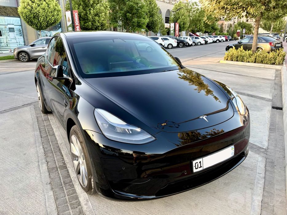 Tesla Y Base 2023, black/black с мастер аккаунтом