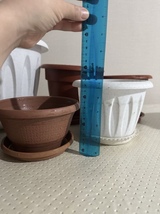 горшок для растений