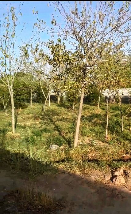 Xovlilik uy sotiladi zudlik bilan