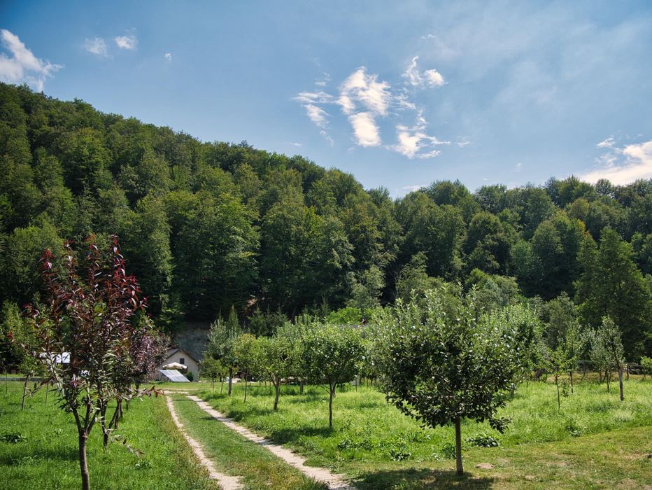 Cabana rustica de inchiriat