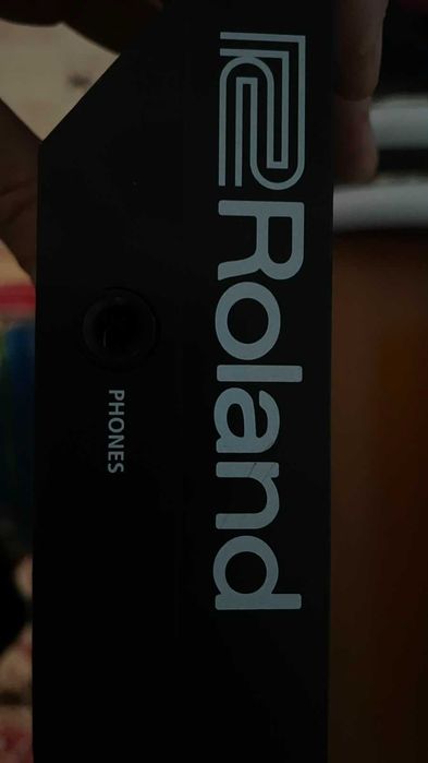 Roland Serato DJ-202