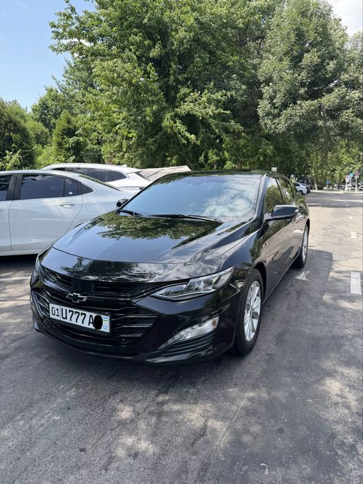 Malibu XL tozza ideal qora