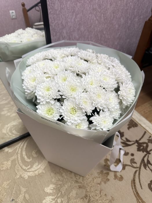 цветы хрезентема