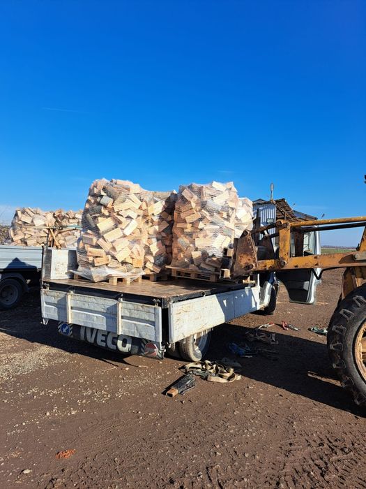 Lemne de foc fag tăiate și crăpate