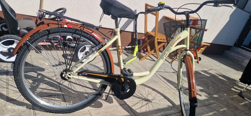 Bicicleta dama vintage