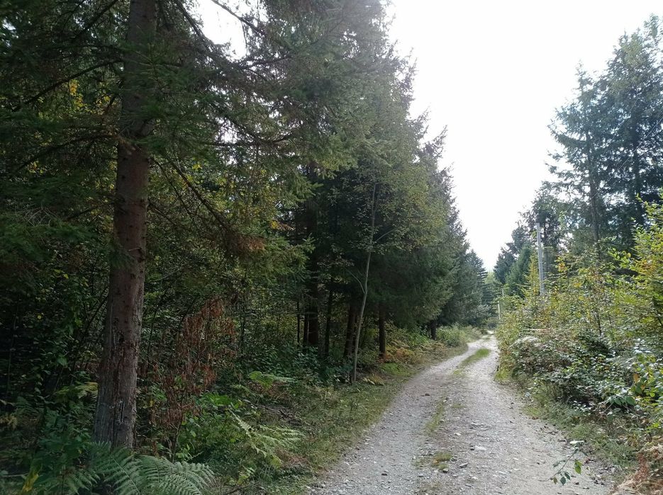 Teren intravilan de vanzare