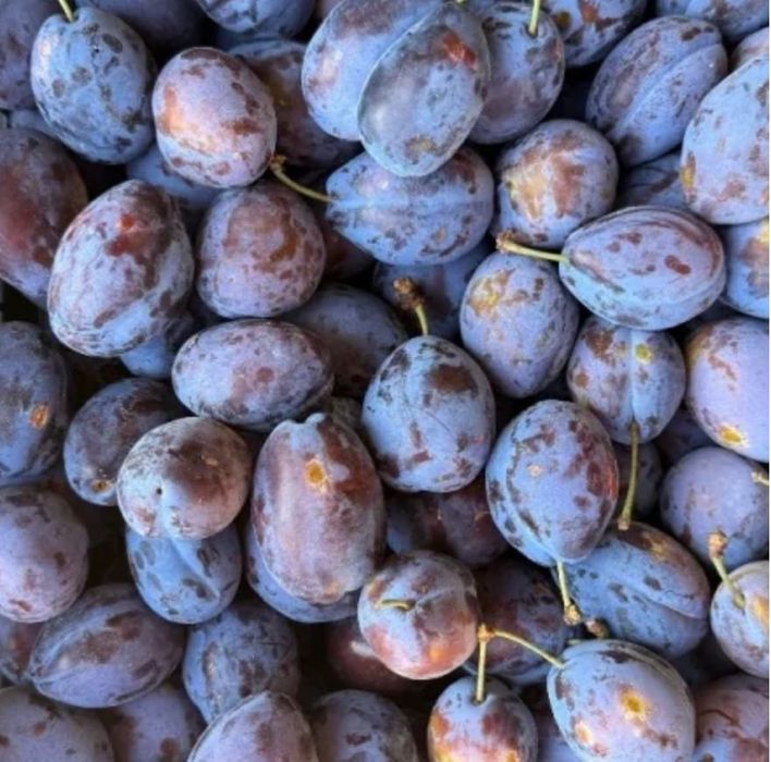Prune Bio Prospete de vanzare| Dambovita| Livada proprie|Dulci