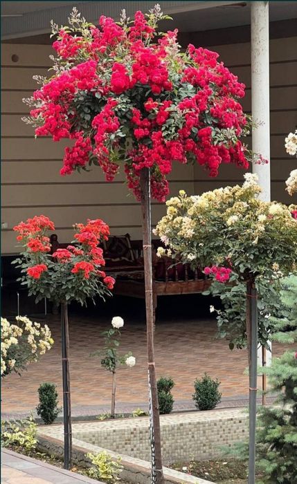 Sadovnik bogbon landshaft xizmati