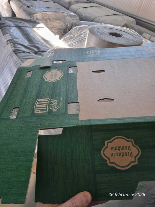 Lada lazi carton Piata lidl 60x40 40x30