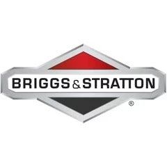 Vand arbore cotit Briggs & Stratton
