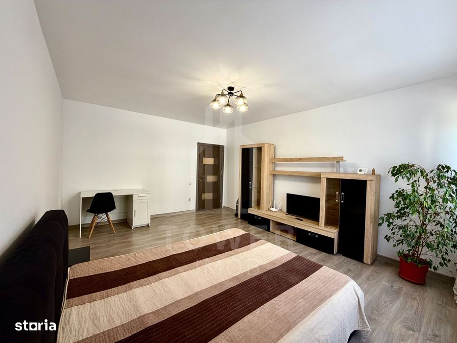 Garsoniera Premium -Pictor Brana