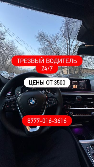 Трезвый водитель