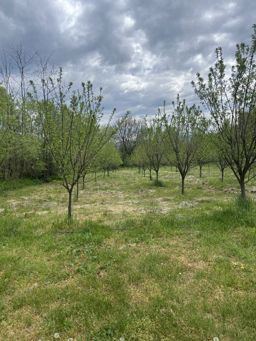 Vand teren pt casa de vacanta 4300mp