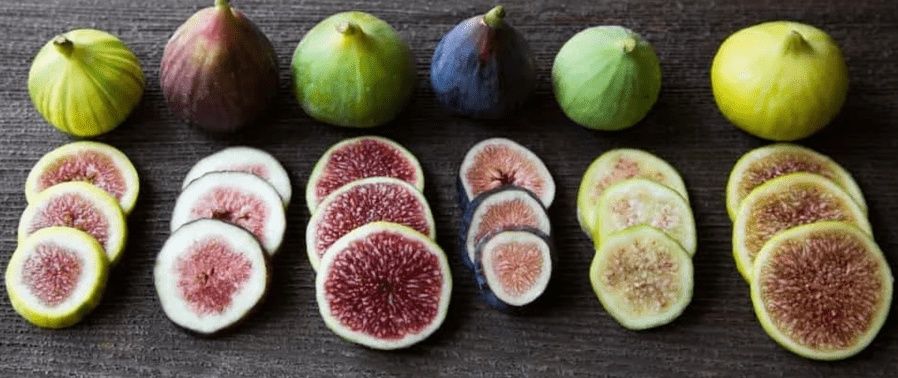 Smochin (Disponibile Toate Soiurile )