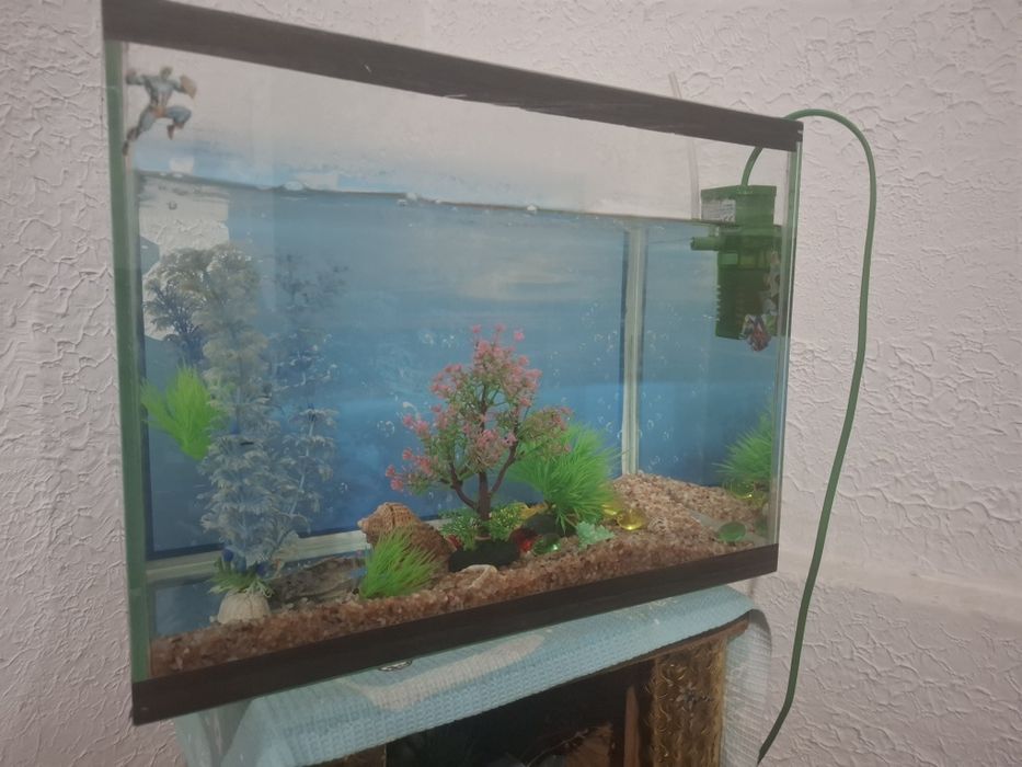 Продаю аквариум .