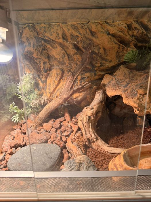 Террариум для рептилии