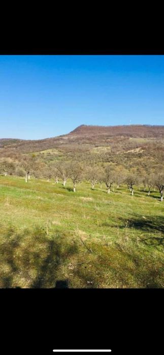 Teren extravilan de vanzare, zona Drumul Tarpiului, rid Subcetate