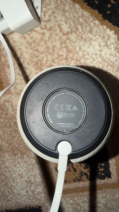 Boxa google home