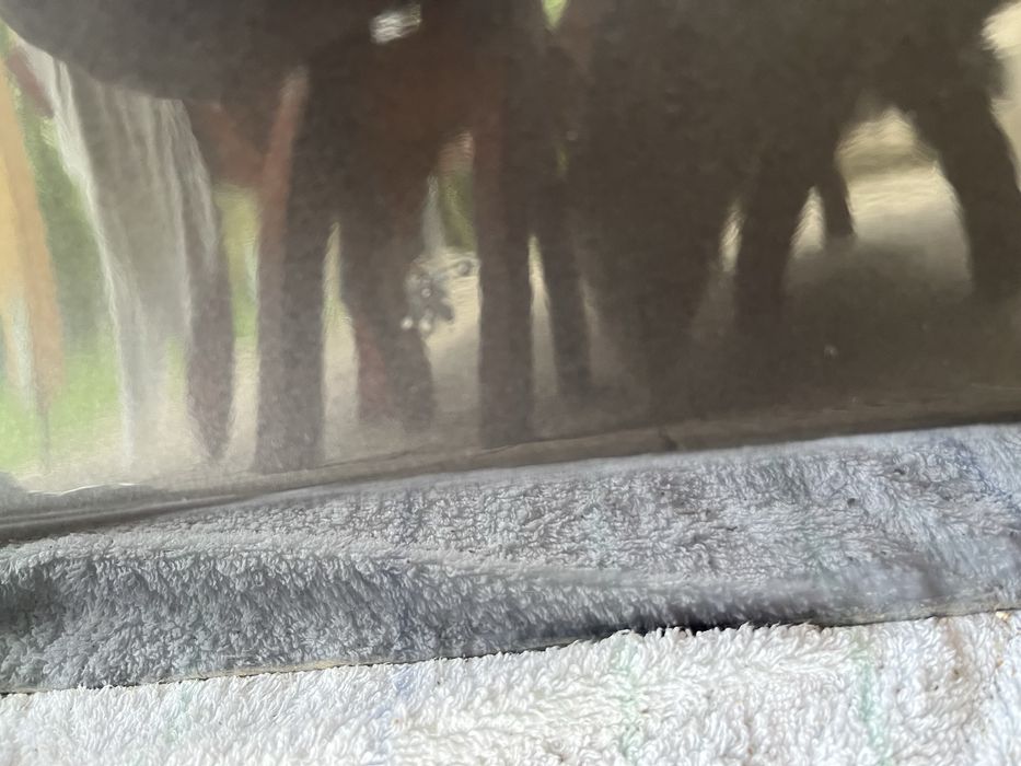 Usa spate dreapta, arips fata dreapta bmw seria 1