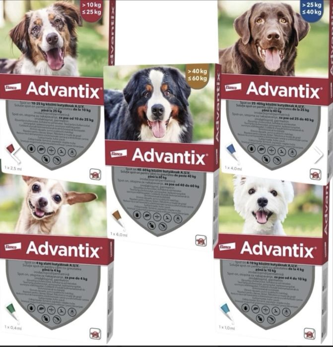 Advantix pipete antiparazitar