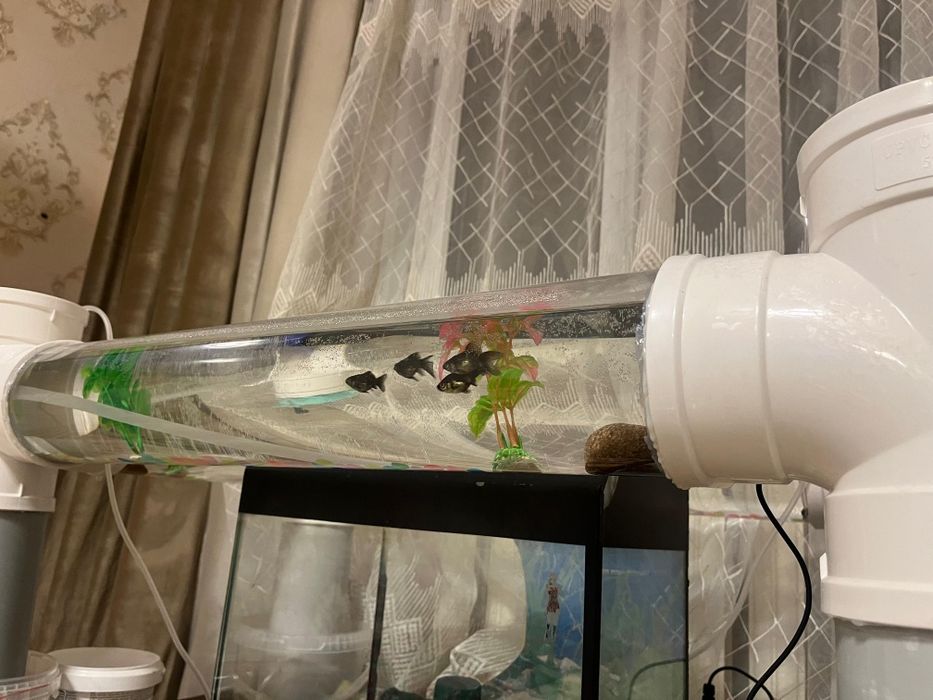 AquaTube Table — аквариум с трубками для рыб
