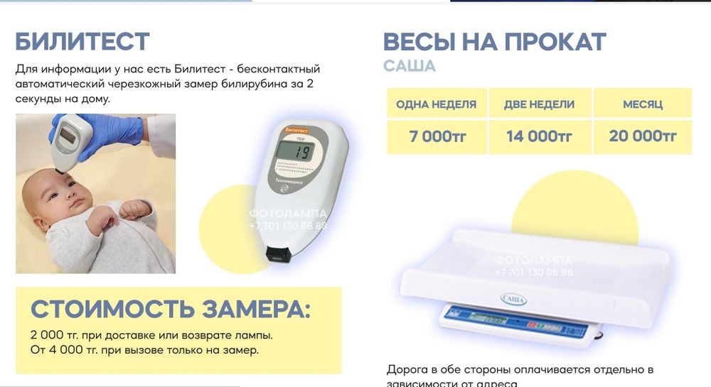 Аренда фотолампы