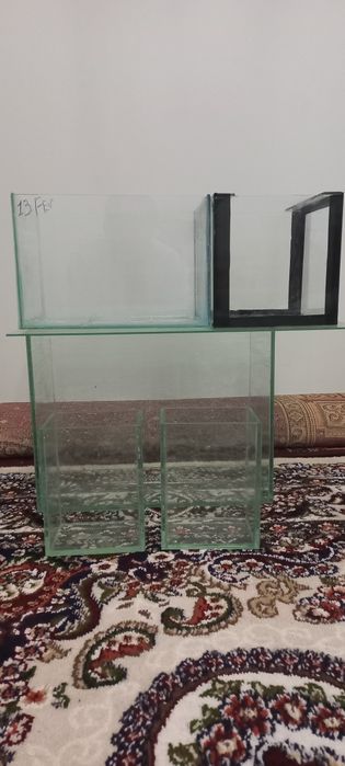 Harxil turdagi baliq akvarium bor juda arzon narxlarda