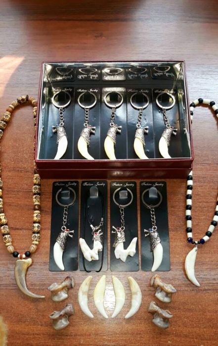 Продам клыки  оригинальные