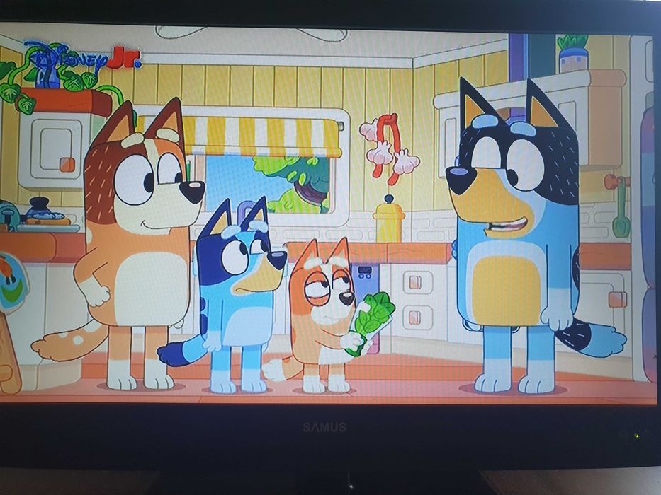 TV Monitor LED SAMUS 24 FullHD 1920x1080 USB HDMI VGA 60cm 61 24SM61ED