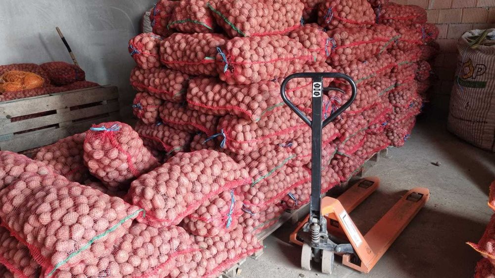 Cartofi samanta alb Edison , Carrera