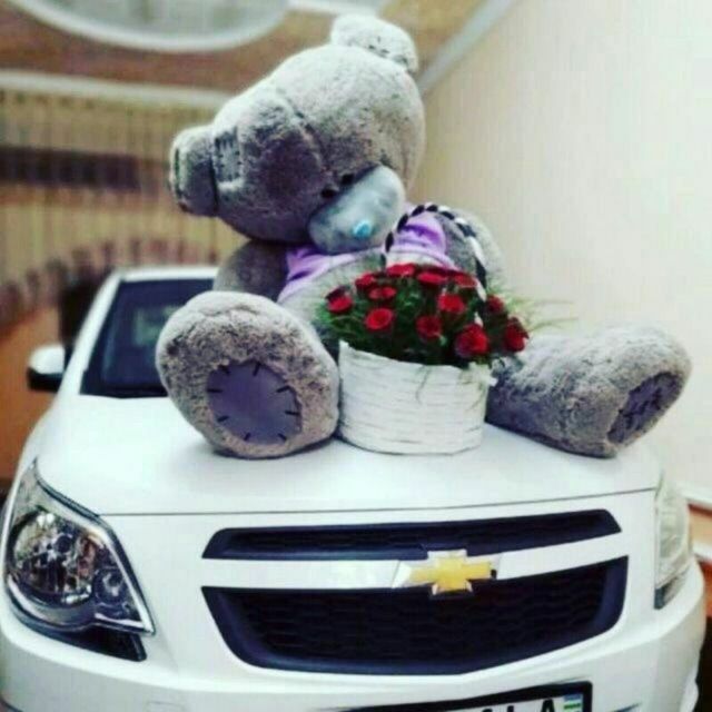 Teddy bear yumshoq o'yinchoqlari