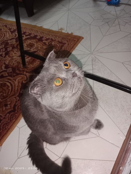 Приглашаем на вязку